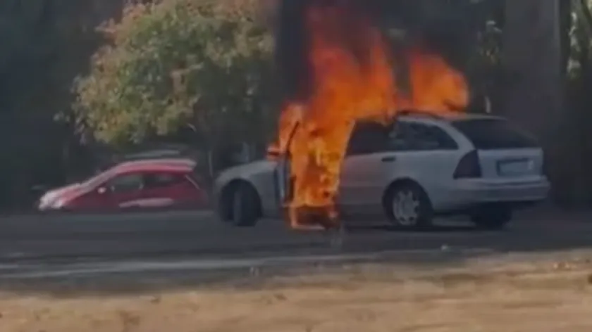 Yeni Beograd'da 10 Araba Yakıldı