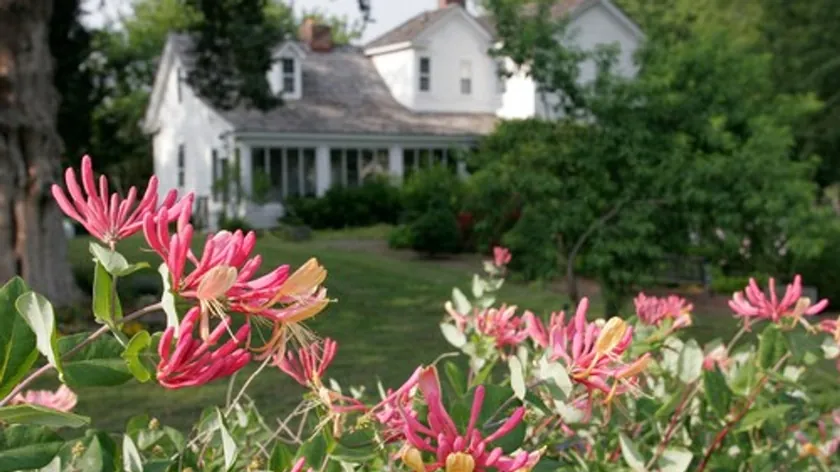 Sırbistan'da Bahçelere Yeni Soluk Getiren Nisan Ayı Bitki Tavsiyesi