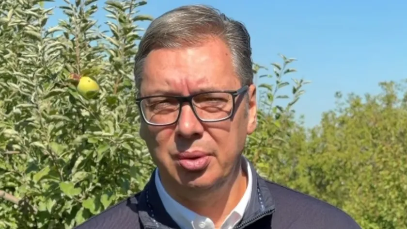 Sırbistan Cumhurbaşkanı Vučić görevi bırakarak parlamento seçimleri için kampanyaya başladı