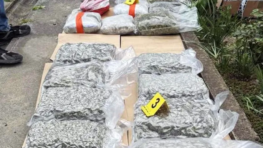 Sırbistan'ın Kikinda kentinde 19 kilogram marihuana ele geçirildi, bir kişi tutuklandı