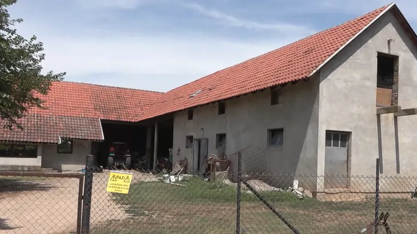Sırbistan'da Afrikalı Kuga Svinjalarına Karşı Mücadele