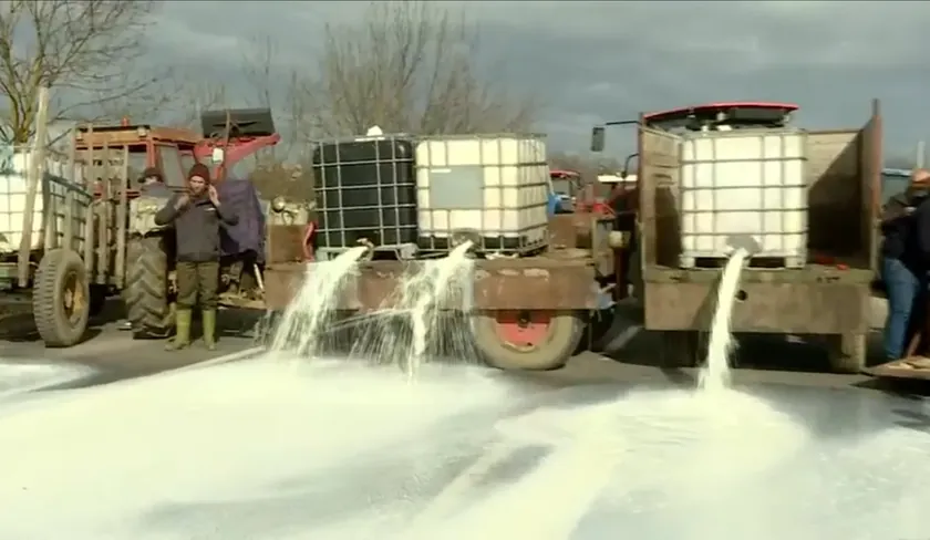 Sırbistan Süt Üreticileri İthalat İzinleri Sebebiyle Veterinerlik Müdürü İçin Görevden Alma İstedi