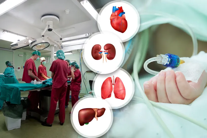 Sırbistan'da Tıp Tarihinde Bir İlk İlk Akciğer Nakli Başarıyla Tamamlandı