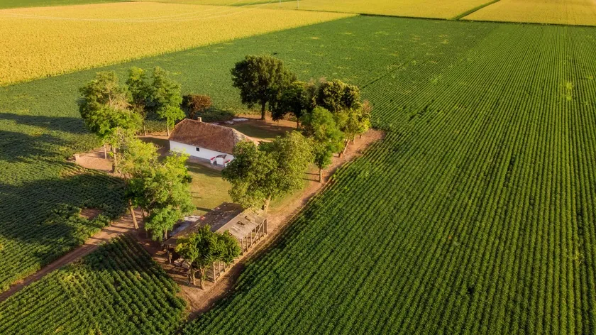 Sırbistan'da Stapar'da satılık bir çiftlik evi 33.500 euroya satılıyor.