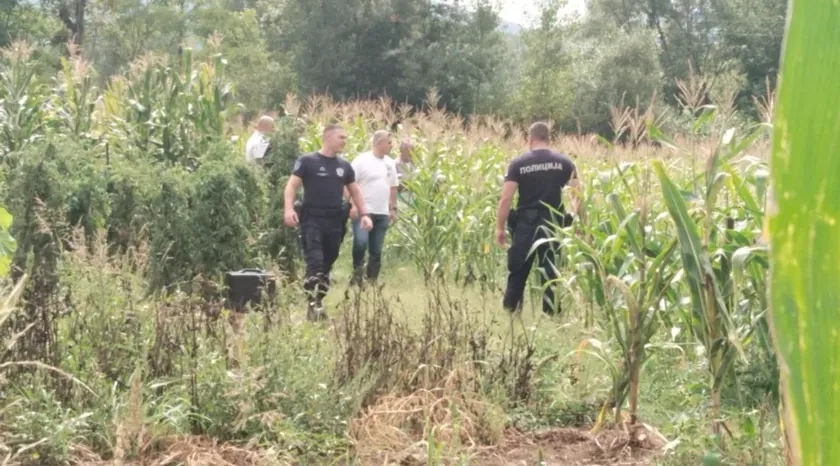 Sırbistan'da bir komşuyu öldüren Ljubisav TrifunoviÄ 14 Yıl Hapise Mahkum Edildi