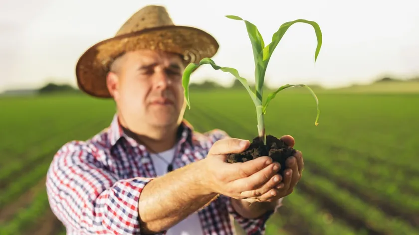 Sırbistan'da çiftçilere yönelik 18.000 dinar ekim teşvikleri başvuruları pazartesi başlıyor