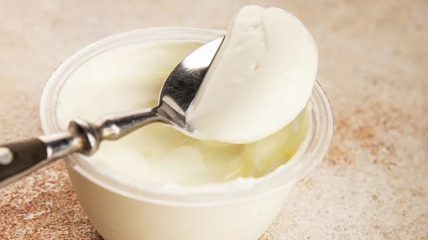 İzlanda'nın bin yıllık süt ürünü skyr: İçeriği, faydaları ve Yunan yoğurduyla farkı