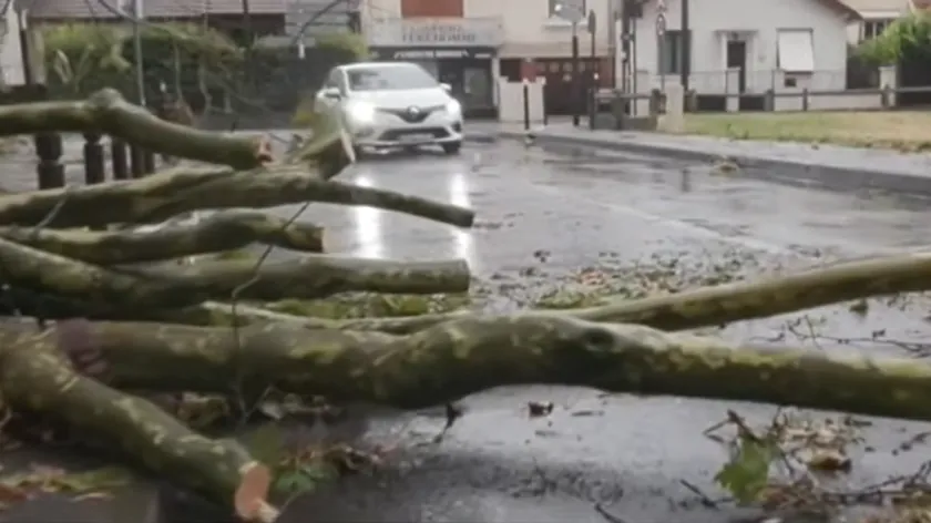 Paris'te Şiddetli Hava Durumu Rüzgar Ağaçları Kaldırdı, Şehrin Üzerine Çekildi (Video)