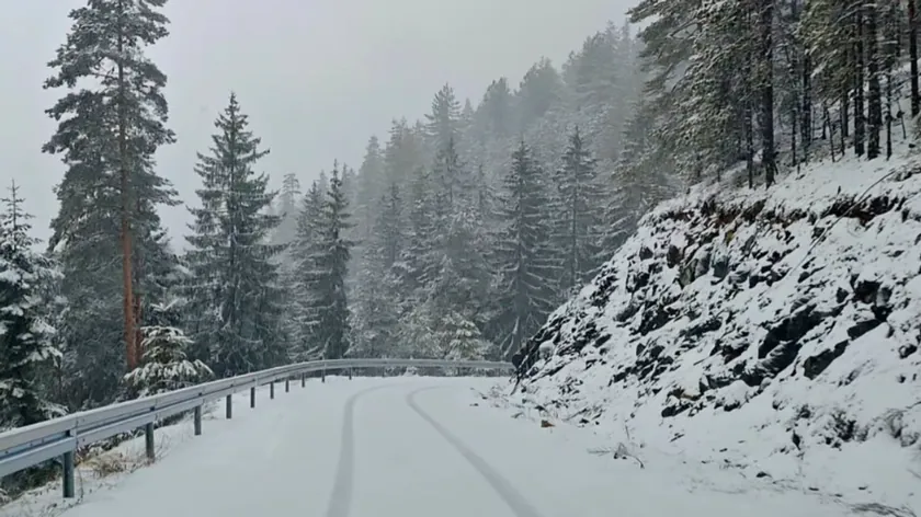 Sırbistan'ın batısında yoğun kar yağışı dağlık bölgeleri etkisi altına aldı