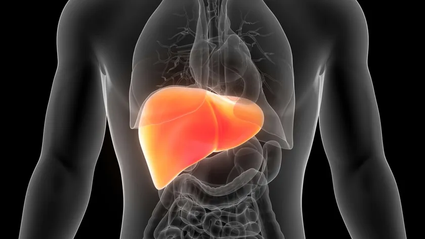 Sırbistanlı bir hepatolog, karaciğer yetmezliğinin belirtileri ve nedenleri hakkında bilgi verdi.