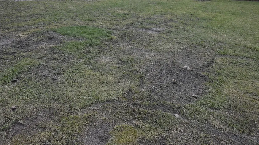 Nisan ayında basit yöntemlerle hasarlı çimler nasıl onarılır uzmanlar açıkladı.