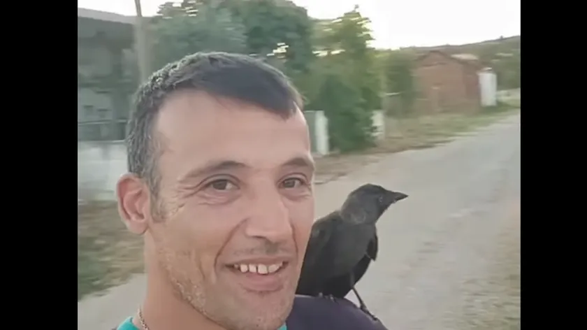 Sırp vatrogasac bir yaralı kuşu kurtardı ve kuş ona sıra dışı bir şekilde minnettar oldu.