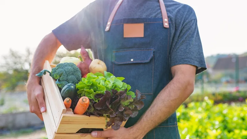 Sırbistan'da roka yetiştiriciliği karlılık kazanıyor yüksek talep getirisi vurgulandı