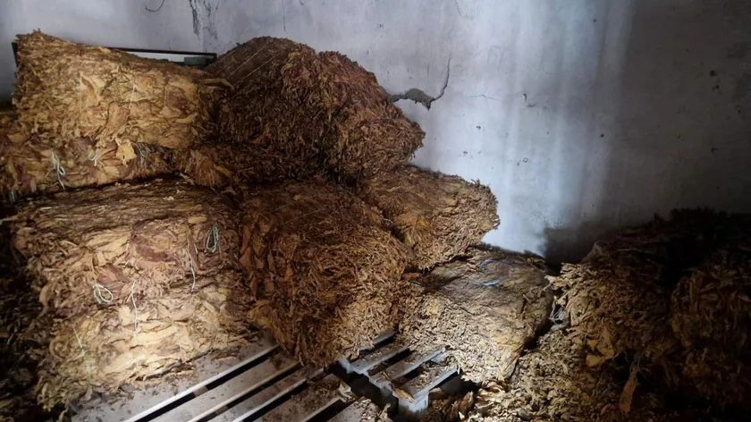 Sırbistan Ruma'da polisin durdurduğu kamyonette 540 kilogram kaçak tütün bulundu