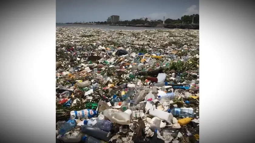 Almerija'da plastikten bir deniz Avrupa'yı besleyen 3,5 milyon ton gıda