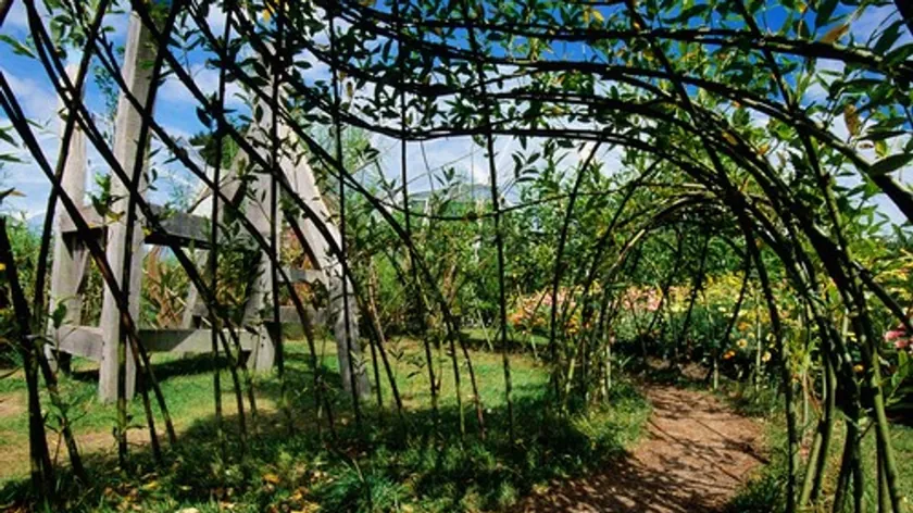 Bahçıvanlara Nisan Ayında Bahçelerinde Yapmaları Gereken Önemli Bir İşlem Belirtildi