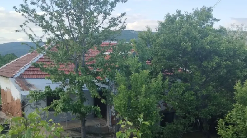 Sırbistan'da bir köyde bulunan bir çiftlik için 11.000 Euro fiyat belirlendi.