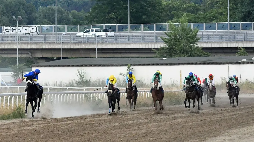 Hipodrom Beograd'da heyecanlı galop yarışları ve özel atmosfer 13 saatten itibaren