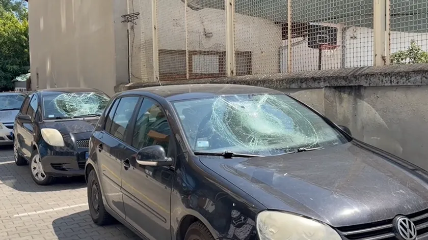 Sırbistan'ın Novi Sad şehrinde yedi arabanın vandalize edildiği bildirildi.