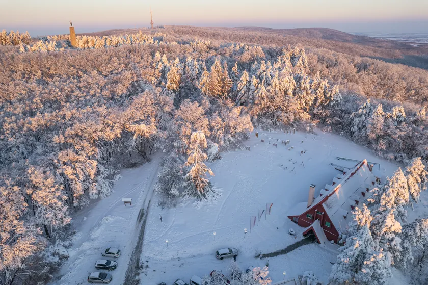 Fruška Gora'da Korkutan Kaybolma: Mahsur Kalan Anne ve Çocuğu Ekipler Kurtardı