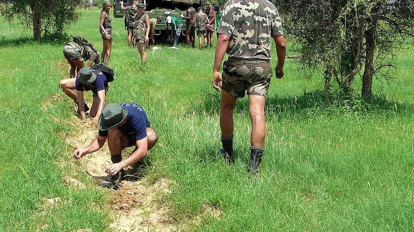 Afrika, Sahra'nın yayılmasını engellemek amacıyla 8 bin kilometrelik yeşil duvar kuruyor