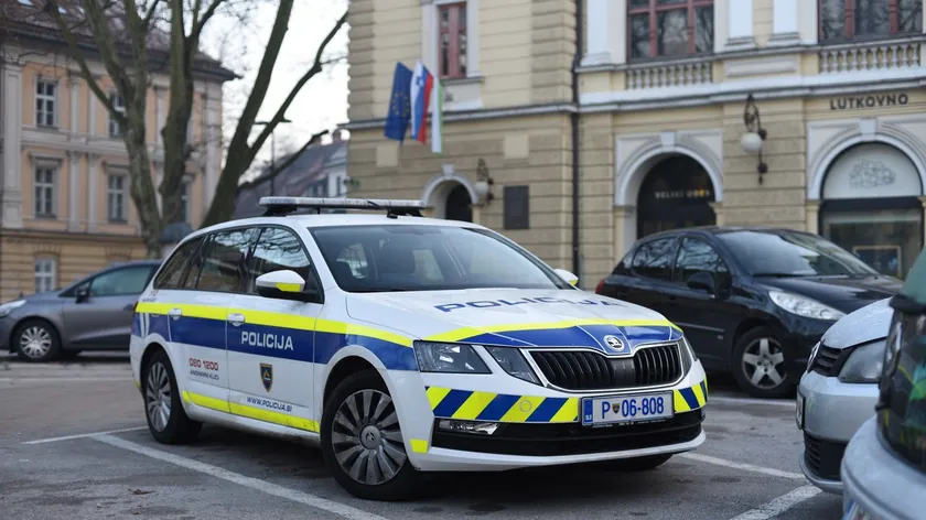 Sırbistanlı ve Slovak vatandaşları Slovenya'da kaçak göçmenlerle yakalandı.