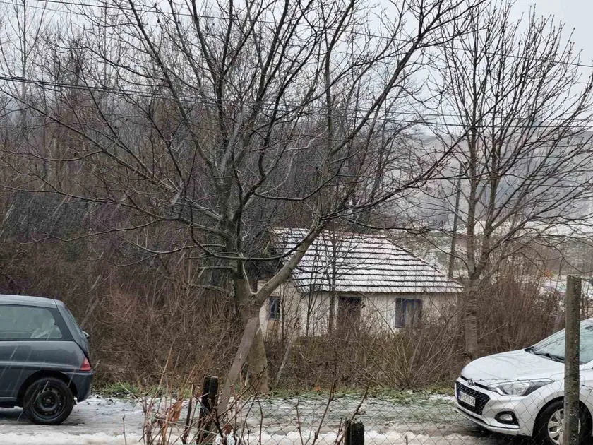 Çekiliyor otopsi: Niš'te ölü bulunan evsiz şahıs kimliği belirlendi