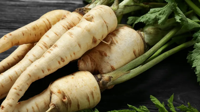 Sırbistan haber ajansı paşkanatın bağışıklık sindirim kilo kontrolüne faydalarını aktardı
