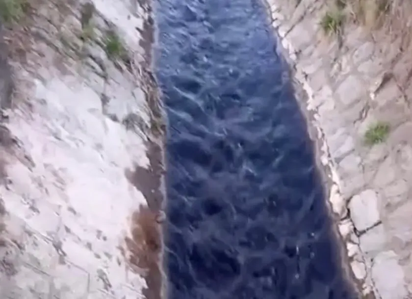 Sırbistan'daki Vranjska Nehri Modro-Siyah Akıyor Yetkililer Sessiz Kalıyor