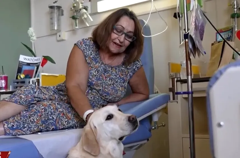 Sırbistan'da bir hastanede çalışan bir köpek Kemoterapi sırasında olan olaylar herkesi derinden etkiledi