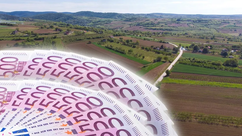 Sırbistan, Sirig ve Čenej'deki 700 hektar tarım arazisini devlete geri kazandırdı.