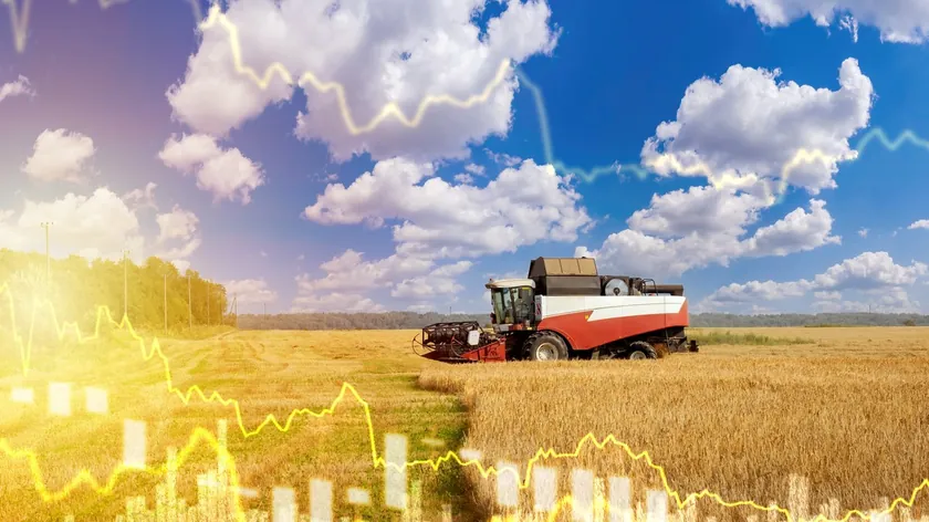 Sırbistan Emtia Borsası'nda Buğday Fiyatları Arttı, Mısır ve Soya Geriledi