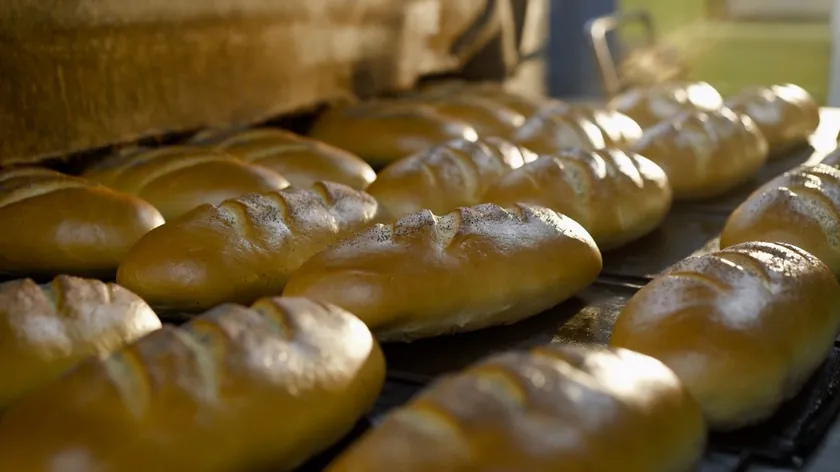 Sırbistan'da ekmek fiyatları şimdilik sabit kaldı ancak artış olasılığı var