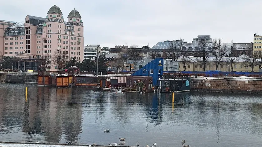 Oslo'da Norveçlilerin Eksi 12 Derecede Fiyordda Buzlu Su Ritüeli Dikkat Çekiyor