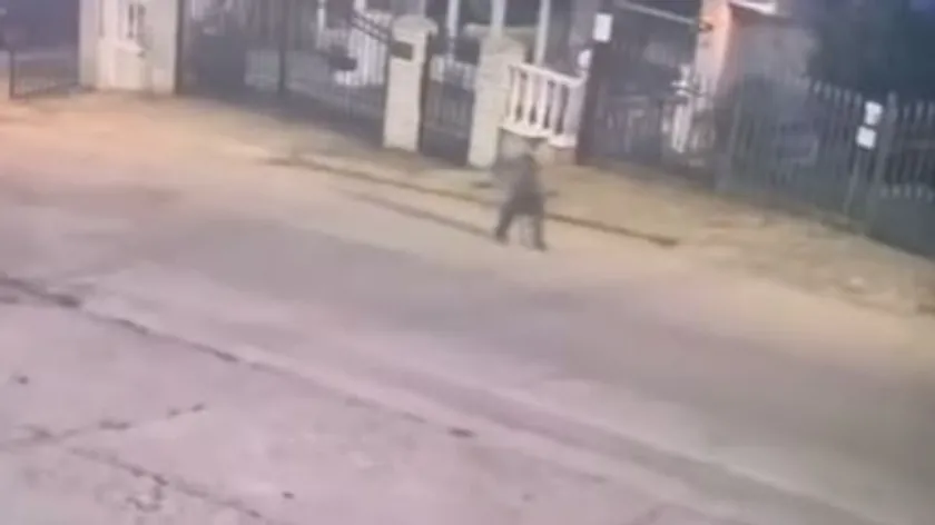 Niş'te Kaybolan Altı Yaşındaki Çocuk Bulundu; İki Buçuk Saatlik Sır Aydınlatılamadı