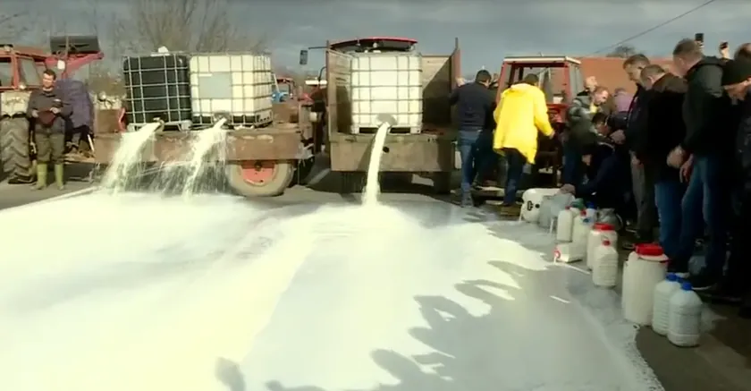 Sırbistan Süt Üreticileri: Değerini Yitiren Teşvikler Nedeniyle İthalat Kısıtlanmalı