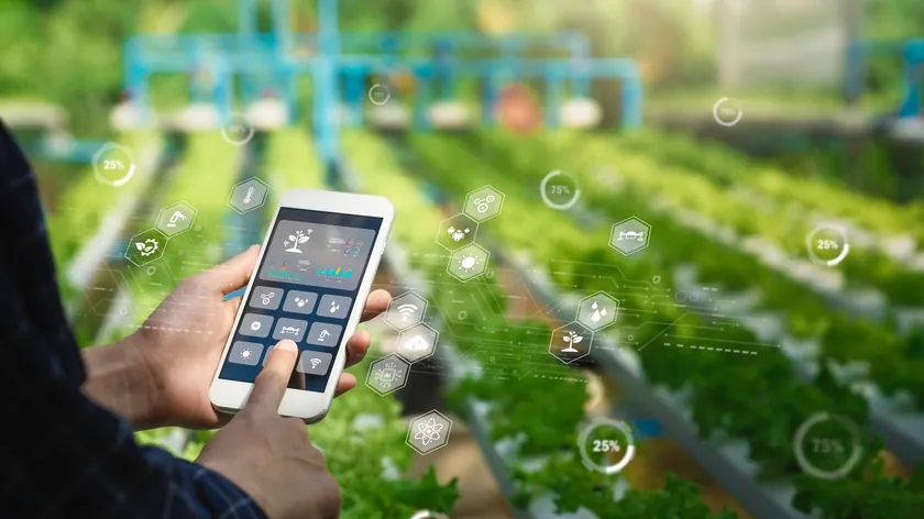 Sırbistan'da Tarım Ürünleri Satış Değeri 2025'in Son Çeyreğinde Yüzde 8,3 Arttı