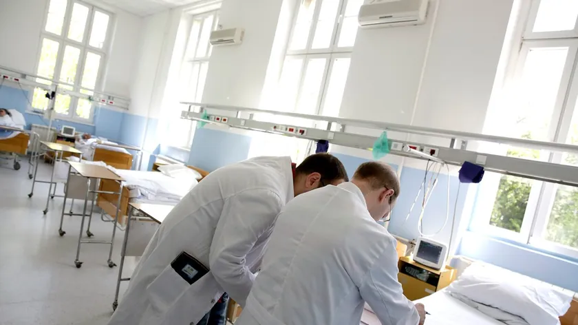 Virus Zapadnog Nila Rumunijoje Üç Ölüm ve Dozensa Hasta Yaptı