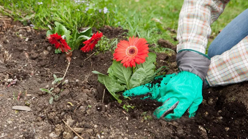 Hırvatistan'da turizm şirketleri bahar sezonu için yüzlerce bahçıvan istihdam ediyor