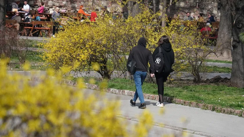 Ebeveynler Dikkat: Çocuklar İnternette Manosfer Diline Maruz Kalıyor