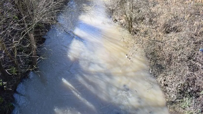 Balkan'da Genç Jovan İlić, Križevica Nehri'nde Boğulmakta Olan Ceylanı Kurtardı