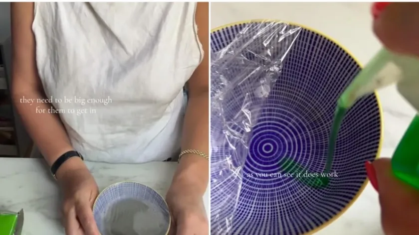 İspanya'da Kadın Viral Sinek Kovucu Deneyi Sonrası Hastanelik Oldu Uyarısı