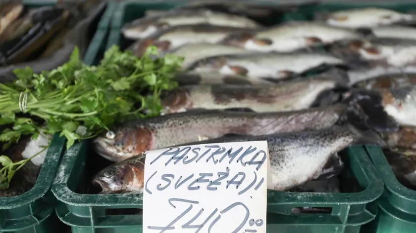 Sırbistan'a ithal edilen uskumruda tehlikeli madde uyarısı yapıldı