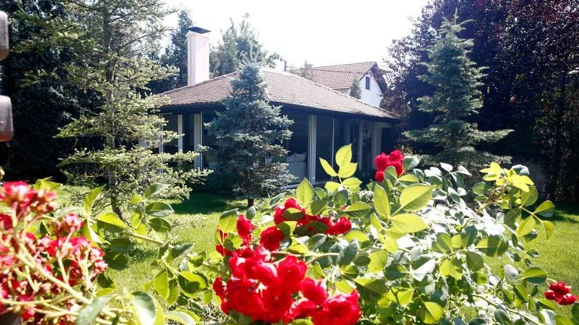 Sırp şarkıcının evi soyulmuştur "Planlanmış bir soygun, 200.000 euro çalındı"