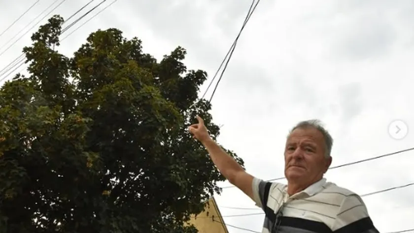 Kikinda'da bir elektrik kablosu ve dalan kavga sebeyle yangın tehlikesi yarattı.