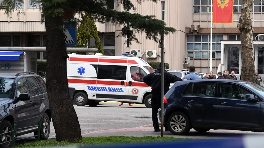 Karadağ'da Arı Sokması Sonucu Hayatını Kaybeden Adamın Trajedisi