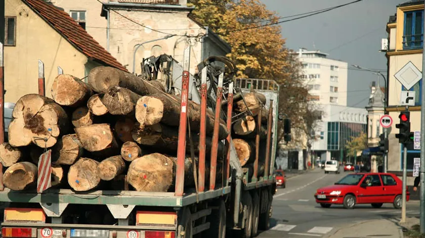 Sırbistan'da Ağaç Sanayii İçin AB İhracat Kılavuzları Yayınlandı