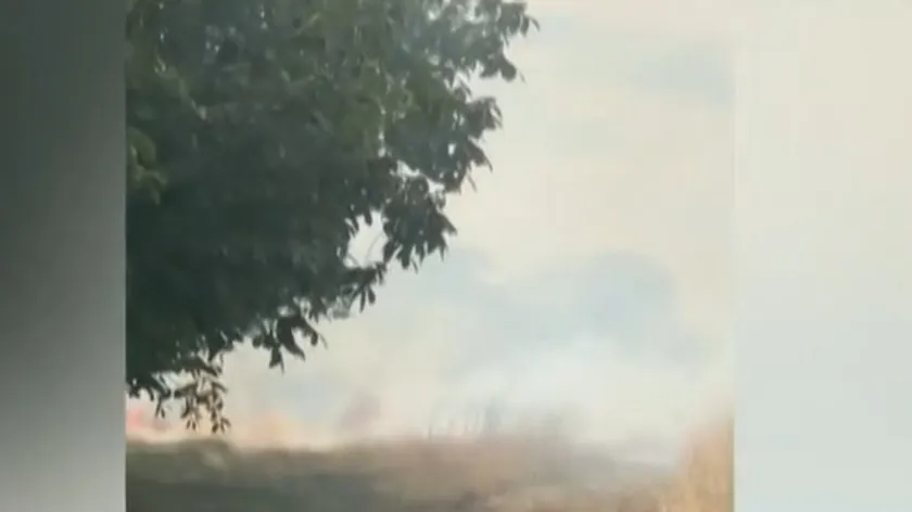 Kladov yakınlarında büyük bir yangın çıktı Ateş her yöne doğru yayılıyor, arabalar zorlukla geçiyor (Video)