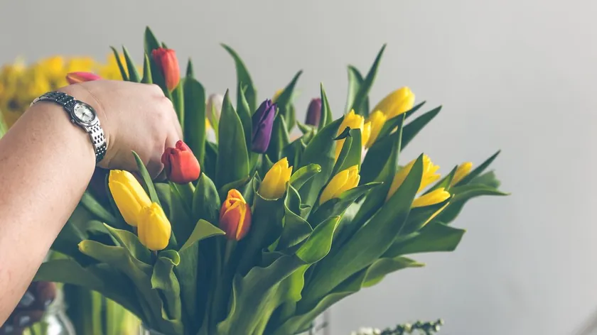 Lalelerin Vazoda Daha Uzun Süre Taze Kalması İçin Önemli İpuçları Paylaşıldı