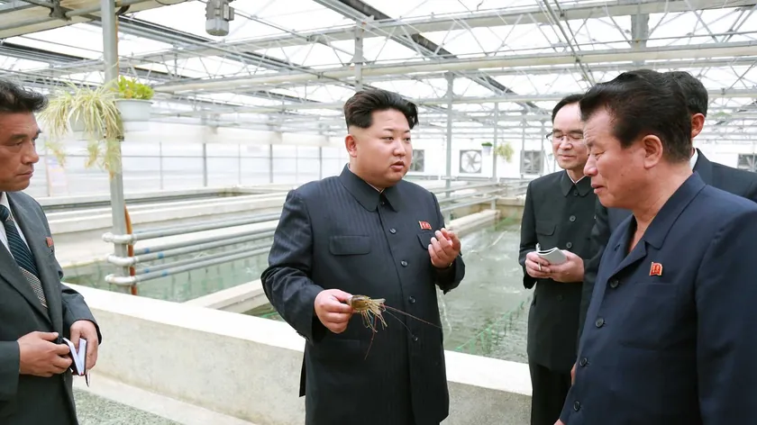 Kuzey Kore'de İnfazlar Tırmanışta: Yeni Rapor Tüyler Ürpertici Detayları Açıklıyor